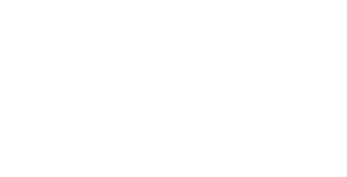 logo white